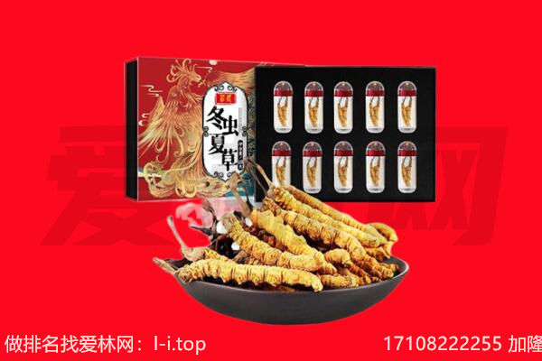 德宏回收虫草.jpg